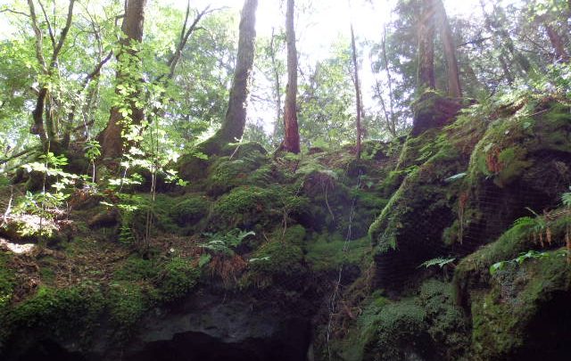 ダンジョン散策に行った話(2)